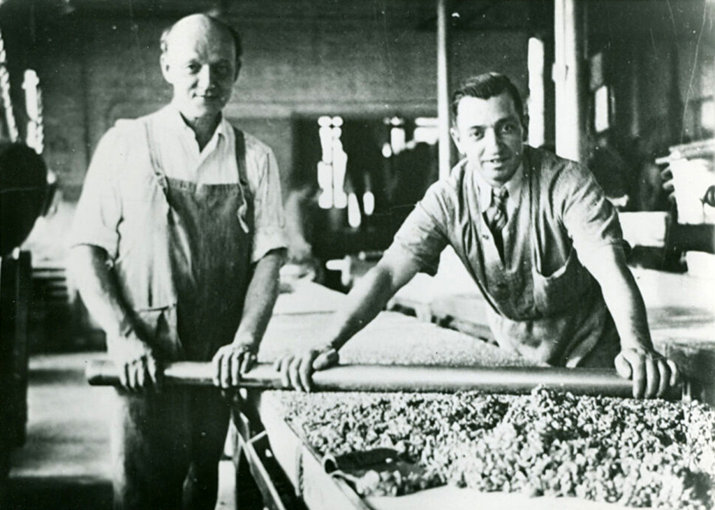 Le Damas UAE since 1951